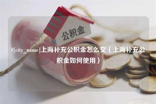 黄骅上海补充公积金怎么交（上海补充公积金如何使用）